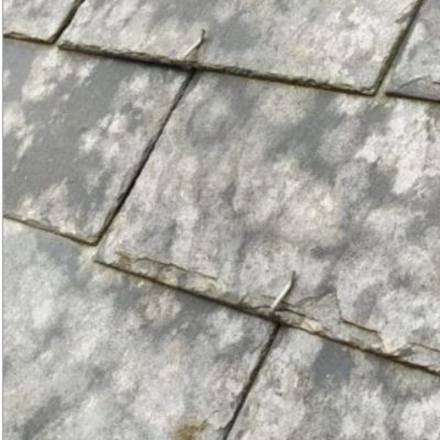 WhatsApp Image 2023-11-15 à 13.36.43_2bae21c7